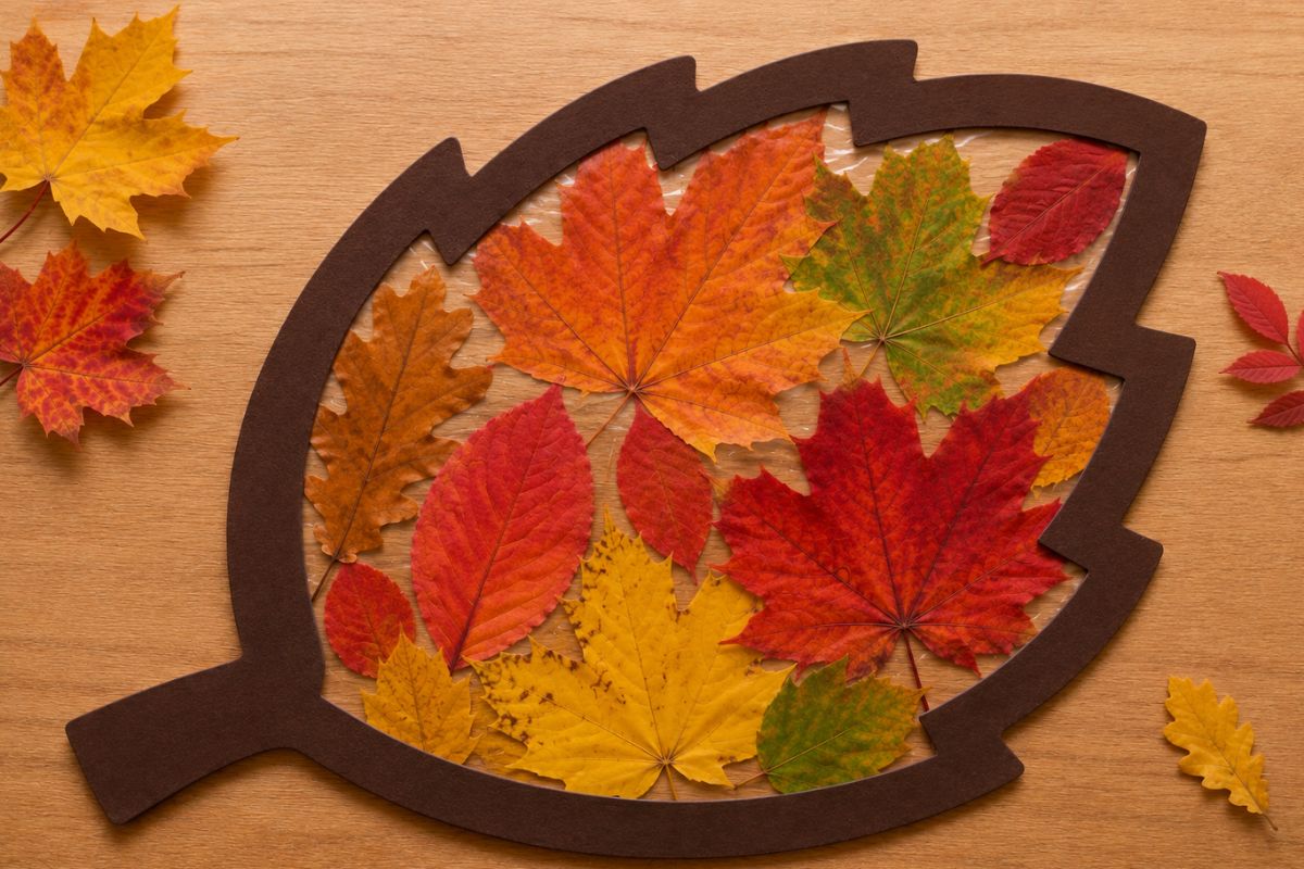 Fensterbild im Herbst aus dunkelbraunem Tonkarton mit echten bunten Herbstblättern auf transparenter Folie