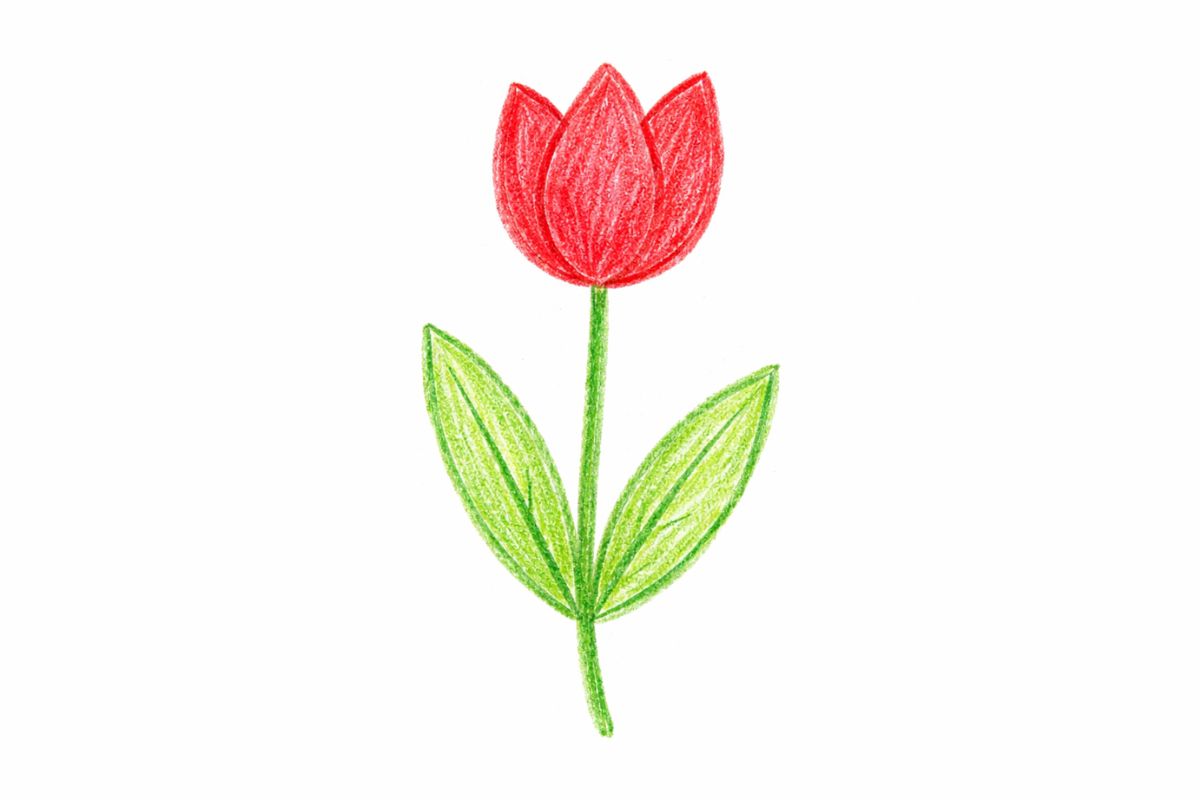 Einfache Tulpe mit Buntstiften gemalt – Frühlingsbild zum Nachmalen für Kinder